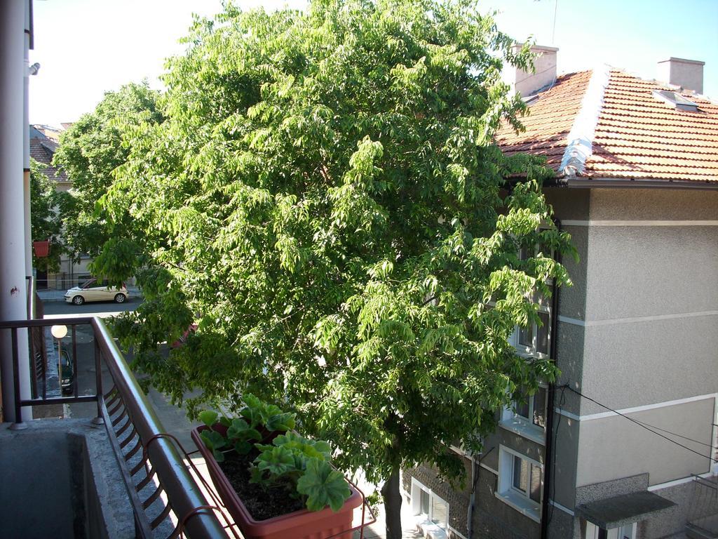 Georgievi *