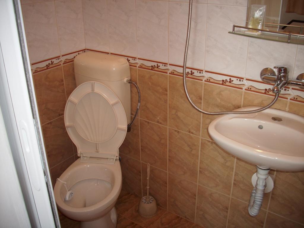 Guest house Georgievi *